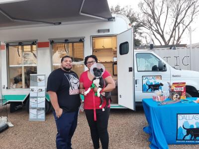 Couple holding a puppy wearing a cone in front of an adoption van